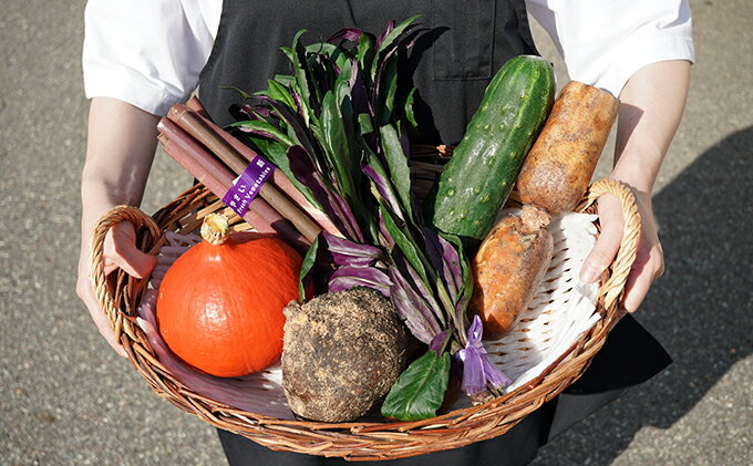 【ふるさと納税】加賀野菜おまかせ便　【野菜・セット・詰合せ】