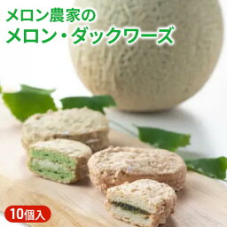 【ふるさと納税】メロン農家のメロン・ダックワーズ10個入　【お菓子・焼菓子・スイーツ・メロン・ダックワーズ】