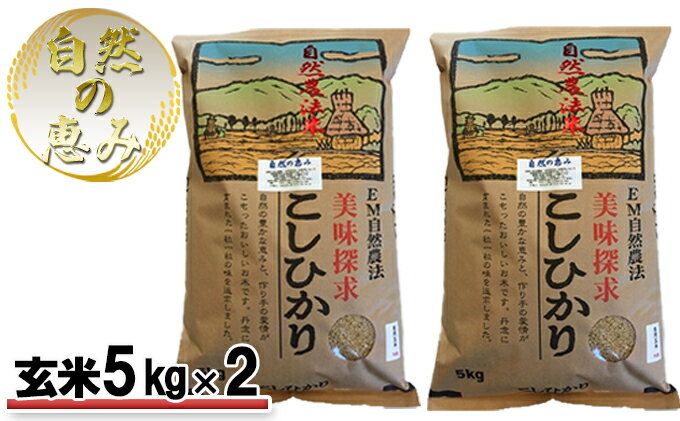 【ふるさと納税】自然農法米こしひかり「自然の恵み」玄米5kg×2個《特別栽培米》　【お米・米・コシヒカリ・特別農法・自然米・化学肥料ゼロ・JAS有機栽培・安全なお米・玄米】