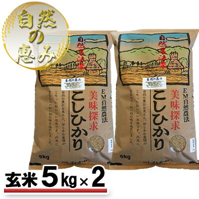 【ふるさと納税】自然農法米こしひかり「自然の恵み」玄米5kg×2個《特別栽培米》　【お米・米・コシヒカリ・特別農法・自然米・化学肥料ゼロ・JAS有機栽培・安全なお米・玄米】