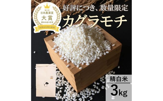 【ふるさと納税】【日本農業賞大賞】もち米3kg精白米(カグラモチ)　【 モチ米 石川県産 能美市産 おこわ ちまき 炊き込みご飯 お餅 食材 】