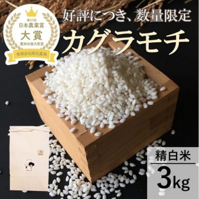 【ふるさと納税】【日本農業賞大賞】もち米3kg精白米 カグラモチ 【 モチ米 石川県産 能美市産 おこわ ちまき 炊き込みご飯 お餅 食材 】