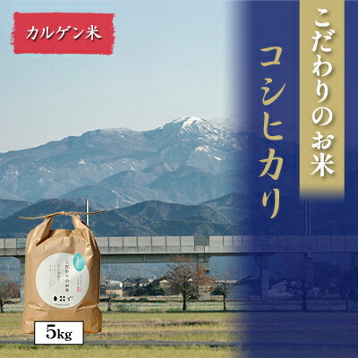 北本農場こだわりのお米令和5年度産コシヒカリ精米5kgカルゲン米　　【 白米 ライス ブランド米 ご飯 炭水化物 毎食 朝ごはん ランチ 昼ごはん 夜ごはん 食卓 主食 おにぎり 直送 】　お届け：2023年9月20日～