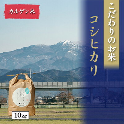 北本農場こだわりのお米令和5年度産コシヒカリ精米10kgカルゲン米　　　【 白米 ライス ブランド米 ご飯 炭水化物 毎食 朝ごはん ランチ 昼ごはん 夜ごはん 食卓 主食 おにぎり 直送 】　お届け：2023年9月20日～