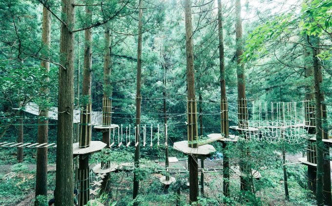 【ふるさと納税】アドベンチャーガーデン能美　年間パス チケット 体験 レジャー フィールドアスレチック 子供 観光 アクティビティ 自然と遊ぶ 3