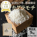 米・雑穀(もち米)人気ランク21位　口コミ数「0件」評価「0」「【ふるさと納税】【日本農業賞大賞】もち米9kg（4.5kg×2袋）精白米(カグラモチ)　【 お米 和食 主食 国産 炭水化物 産地直送 コシ 弾力 粘り 赤飯 おこわ お餅 一等米 】」