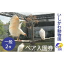 【ふるさと納税】チケット いしかわ動物園ペア入園券(一般)石川県 能美市