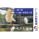 【ふるさと納税】チケット いしかわ動物園ペア入園券(一般+3歳以上中学生以下)石川県 能美市