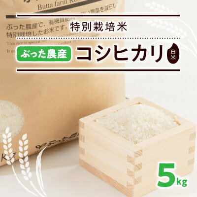 64位! 口コミ数「0件」評価「0」特別栽培米ぶった農産コシヒカリ(白米5kg)【1207813】