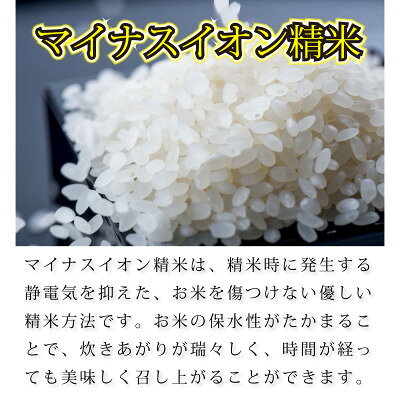 【ふるさと納税】奥能登コシヒカリ「門前米」5kg_ 米 白米 精米 コシヒカリ 門前米 奥能登 石川県産 常温 美味しい 人気 おすすめ【1469645】 f172120-nonoichi-10000107 石川県野々市市 サンプル画像3
