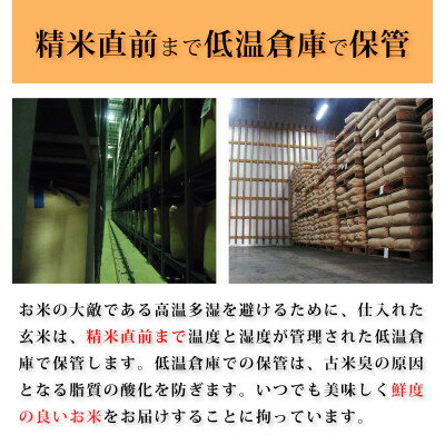 【ふるさと納税】米屋がつくった「吉野コシヒカリ」10kg(5kg×2袋)【1469680】