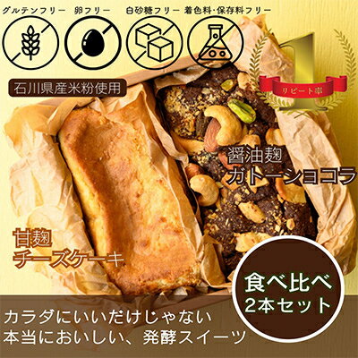 人気NO1発酵ガトーショコラと発酵チーズケーキのセット計500g[配送不可地域:離島]