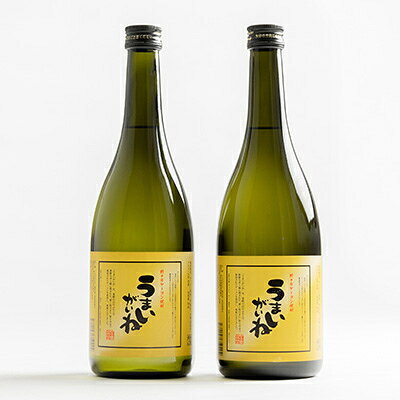 【ふるさと納税】うまいがいね　720ml×2本【1206023】