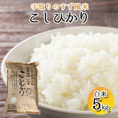 【令和四年度産】手取りのすず風米こしひかり　白米5kg　【 お米 ライス ご飯 ブランド米 銘柄米 うま味 お弁当 おにぎり 食卓 産地直送 主食 炭水化物 食品 食べ物 国産 石川県産 日本産 日本のお米 石川県産コシヒカリ 】