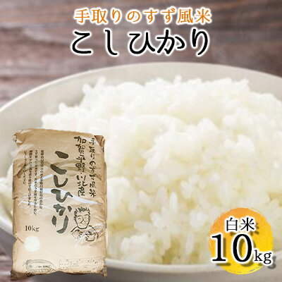 【令和四年度産】手取りのすず風米こしひかり　白米10kg　【 お米 ライス ご飯 ブランド米 銘柄米 うま味 お弁当 おにぎり 食卓 産地直送 主食 炭水化物 食品 食べ物 国産 石川県産 日本産 日本のお米 石川県産コシヒカリ 】