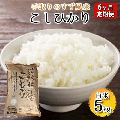 [令和5年度産]手取りのすず風米こしひかり 白米5kg入 6ヶ月連続 [定期便・ お米 ライス ご飯 ブランド米 銘柄米 うま味 お弁当 おにぎり 食卓 産地直送 主食 炭水化物 食品 食べ物 国産 石川県産 日本産 日本のお米 石川県産コシヒカリ ]