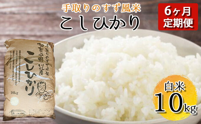 【ふるさと納税】【令和四年度産】手取りのすず風米こしひかり　白米10kg　6ヶ月連続　【定期便・ お米 ライス ご飯 ブランド米 銘柄米 うま味 お弁当 おにぎり 食卓 産地直送 主食 炭水化物 食品 食べ物 国産 石川県産 日本産 日本のお米 石川県産コシヒカリ 】