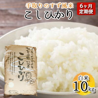 【ふるさと納税】【令和四年度産】手取りのすず風米こしひかり　白米10kg　6ヶ月連続　【定期便・ お米 ライス ご飯 ブランド米 銘柄米 うま味 お弁当 おにぎり 食卓 産地直送 主食 炭水化物 食品 食べ物 国産 石川県産 日本産 日本のお米 石川県産コシヒカリ 】