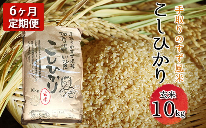 【ふるさと納税】【令和四年度産】手取りのすず風米こしひかり　玄米10kg　6ヶ月連続　【定期便・ お米 ライス ご飯 ブランド米 銘柄米 うま味 お弁当 おにぎり 食卓 産地直送 主食 炭水化物 食品 食べ物 国産 石川県産 日本産 日本のお米 石川県産コシヒカリ 】