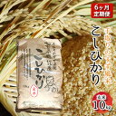 22位! 口コミ数「0件」評価「0」【令和四年度産】手取りのすず風米こしひかり　玄米10kg　6ヶ月連続　【定期便・ お米 ライス ご飯 ブランド米 銘柄米 うま味 お弁当 お･･･ 