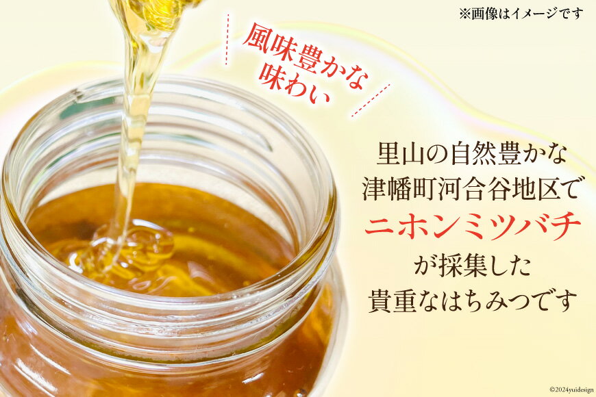 【ふるさと納税】 はちみつ 国産 純粋はちみつ 里山ひめみつ 250g×2 [里山養蜂 坂本稔 石川県 津幡町 tb17nir80003] 蜂蜜 ハチミツ ハニー 蜜 無調整