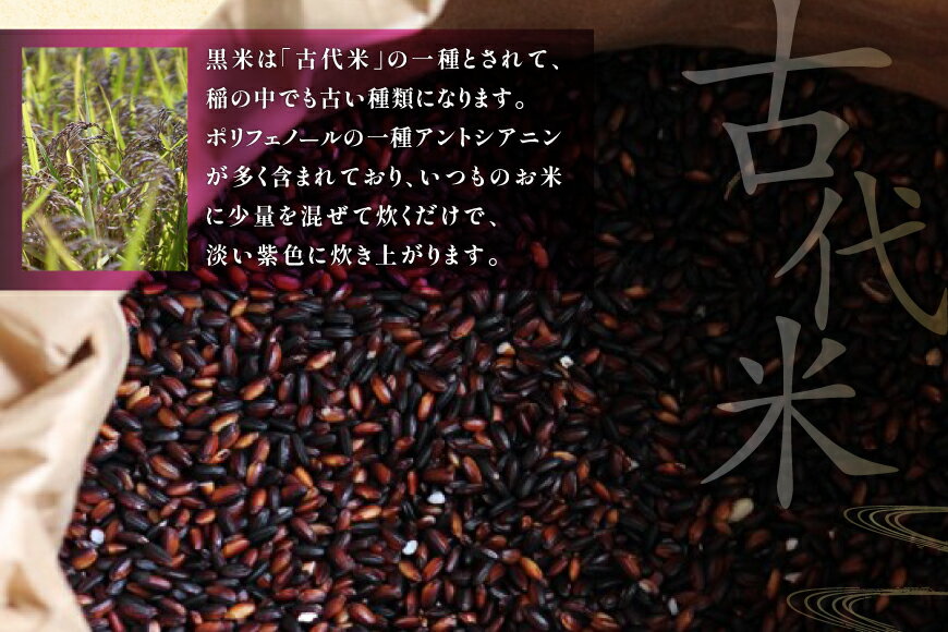 【ふるさと納税】 古代米 令和7年産 石川県産 黒米 200g x 2袋 計400g 国産 無農薬 [農事組合法人かさの郷 石川県 津幡町 tb17bgj610000] もち米 くろまい お米 こめ おこめ ご飯 ごはん ゴハン kome 令和7年 食物繊維 玄米 400グラム