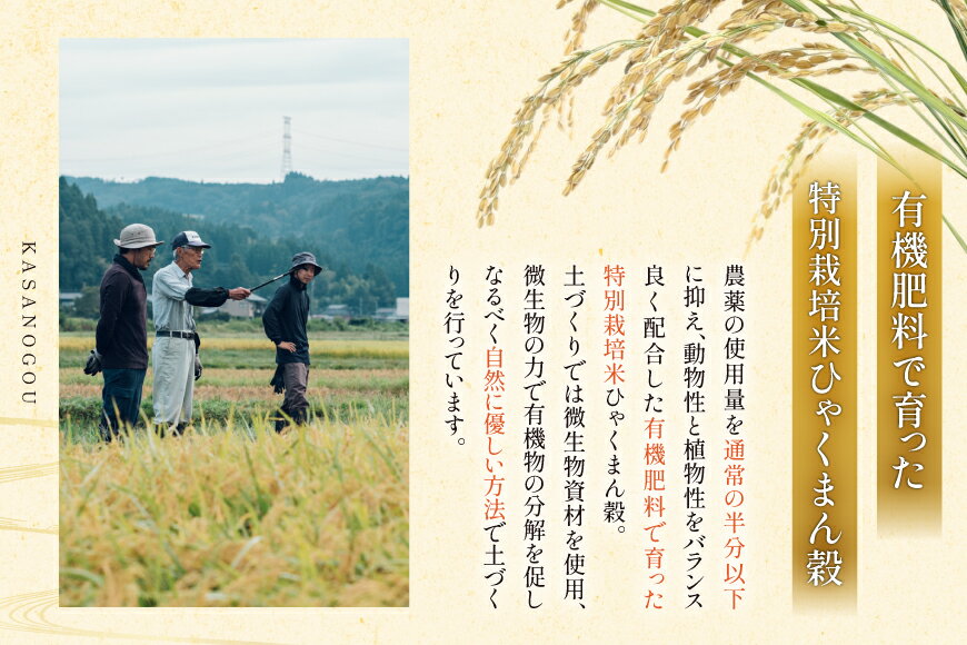 【ふるさと納税】 米 令和7年産 石川県産 ひゃくまん穀　5kg x 1袋 [農事組合法人かさの郷 石川県 津幡町 tb17bgj610001] お米 こめ おこめ ご飯 ごはん ゴハン 精米 白米 kome 令和7年 ひゃくまんごく
