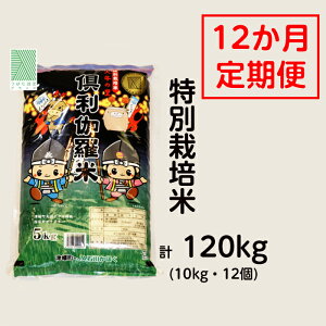 【ふるさと納税】特別栽培米　火牛の里「倶利伽羅米」（10kg）定期便12回