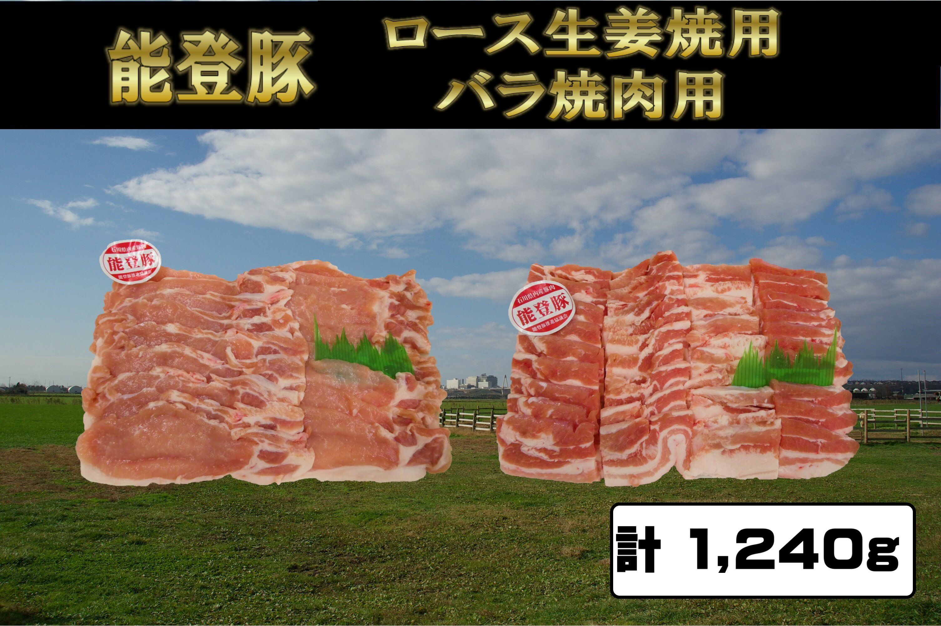 【ふるさと納税】能登豚ロース生姜焼き用600gと能登豚バラ焼肉用640gのセット 計1240g