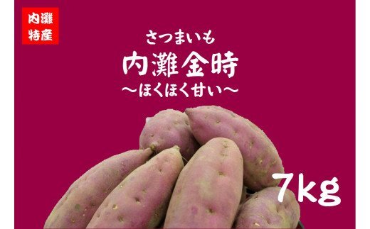 【ふるさと納税】内灘金時ほくほく甘いさつまいも（内容量7kg