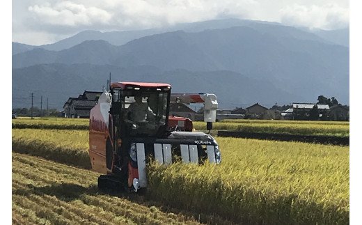 【ふるさと納税】里山のこしひかり ほくの里 7kg精米