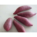 石川県内灘町の画像2