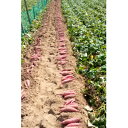 石川県内灘町の画像2