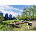 石川県内灘町の画像3