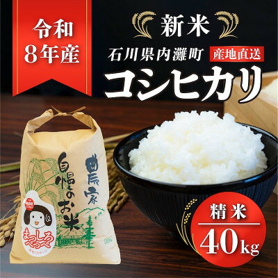 令和8年産コシヒカリ 20kg×2袋