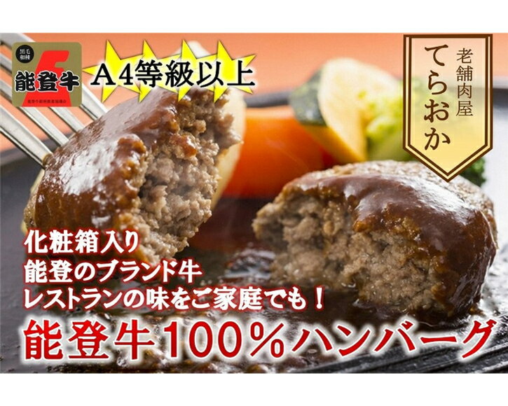 【ふるさと納税】 てらおか風舎の特選能登牛100%ハンバーグ 120g×5個 [てらおか風舎（寺岡畜産株式会社） 石川県 志賀町 AA4199] 肉 能登牛 ハンバーグ 5個 デミグラスソース付き 化粧箱入り