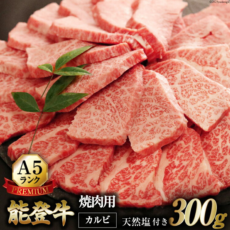 【ふるさと納税】【てらおかの能登牛】極上能登牛カルビ(A5P)焼肉用(300g) [てらおか風舎（寺岡畜産株式会社） 石川県 志賀町 AA4238] 肉 牛肉 能登牛 極上 モモ肉 焼肉用 300グラムのサムネイル