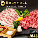 【ふるさと納税】【てらおかの能登牛】わさびで食べる能登の焼肉セット プレミアム(300g×2) [てらおか風舎 石川県 志賀町 AA4223] 肉 ..