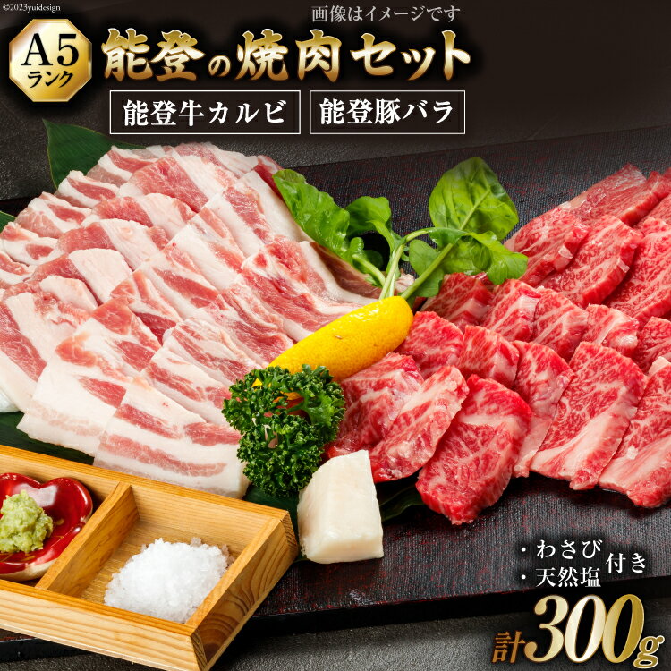 【ふるさと納税】【能登半島地震復興支援】【てらおかの能登牛】わさびで食べる能登の焼肉セット プレミアム(150g×2) [てらおか風舎（寺岡畜産株式会社） 石川県 志賀町 AA4242] 肉 牛肉 能登牛 焼肉セット 300グラムのサムネイル