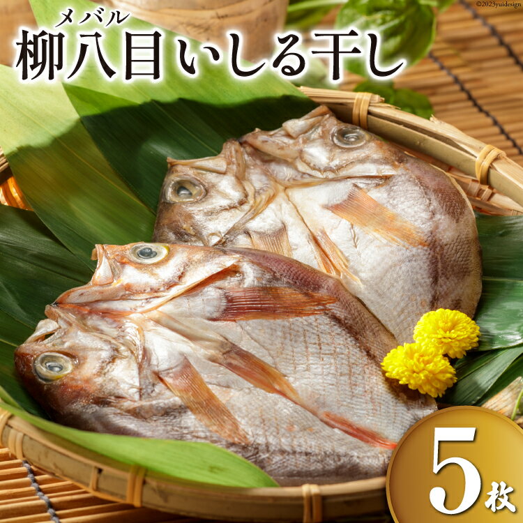 [期間限定]柳八目(メバル)いしる干し 5枚 [能西水産 石川県 志賀町 AD4112] 魚 干物 いしる干し メバル めばる