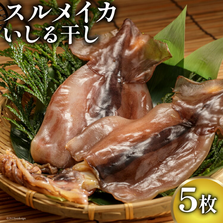 【ふるさと納税】スルメイカ いしる干しセット 5枚 [能西水産 石川県 志賀町 AD4115] スルメイカ いしる干し 干物 セット