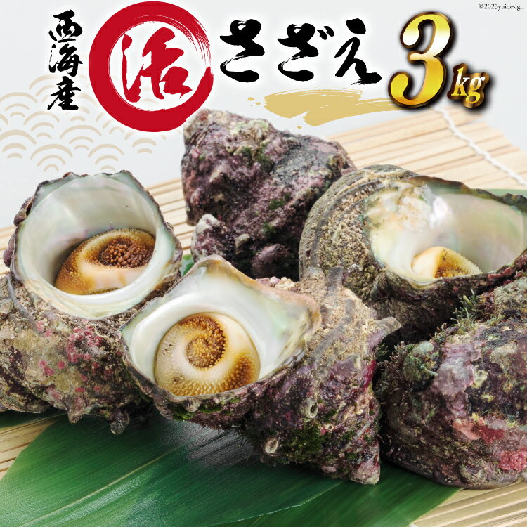 ڤդ뤵ǼǡۡǽȾ ľ۳  3kg [JF  ֲĮ AM4236]   ָ ...