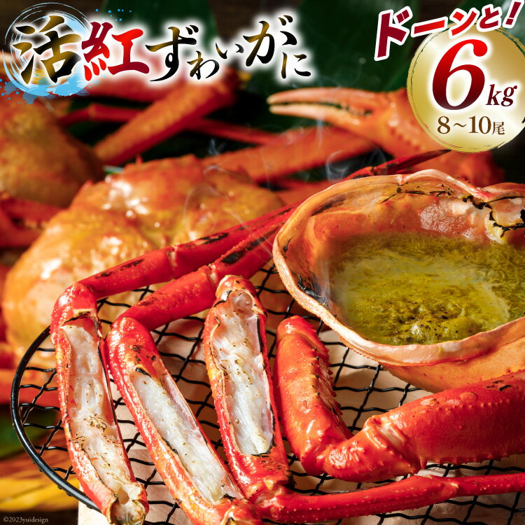 【ふるさと納税】活紅ずわいがに どーんと6kg！！（合計6kg前後） [JF西海 石川県 志賀町 AM4194] 蟹 カニ かに ずわいがに ズワイガニ 6キロ 期間限定のサムネイル