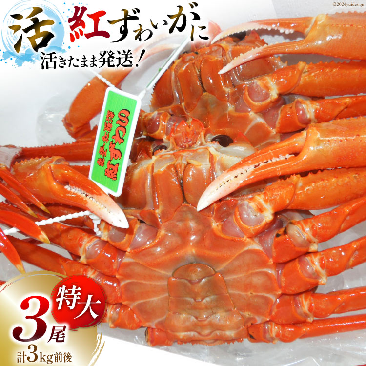 【ふるさと納税】【能登半島 漁協直送 3月以降発送】 活紅ズワイガニ (特大サイズ) 3尾（合計3kg前後） [JF西海 石川県 志賀町 AM4222] 蟹 カニ かに ズワイガニ ずわいがに