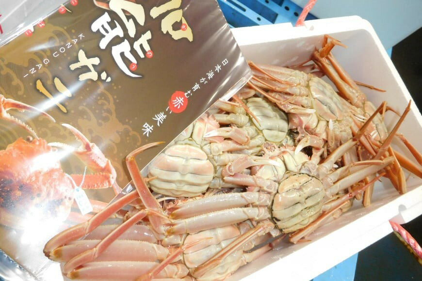 【ふるさと納税】 【期間限定発送】【能登半島 漁協直送！】ボイル済 香箱ガニ 10尾[JF西海 石川県 志賀町 AM4228] 蟹 カニ かに ズワイガニ セコガニ メス 内子