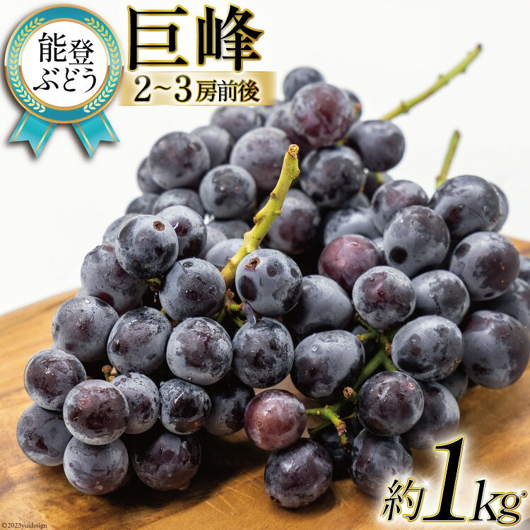 【期間限定】【能登ぶどう】巨峰 約1kg （2〜3房前後） [スギヨファーム 石川県 志賀町 AS4114] 果物 くだもの フルーツ 能登ぶどう 巨峰 約 1キロ