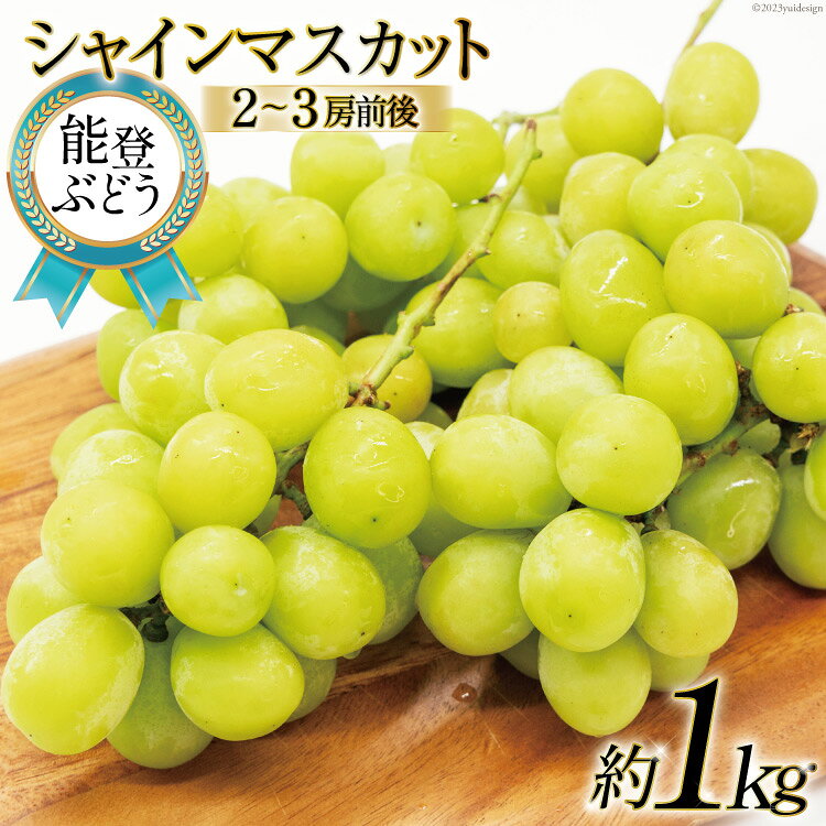 【期間限定】【能登ぶどう】シャインマスカット 約1kg（2〜3房前後） [スギヨファーム 石川県 志賀町 AS4111] 果物 くだもの フルーツ 能登ぶどう シャインマスカット 1キロ