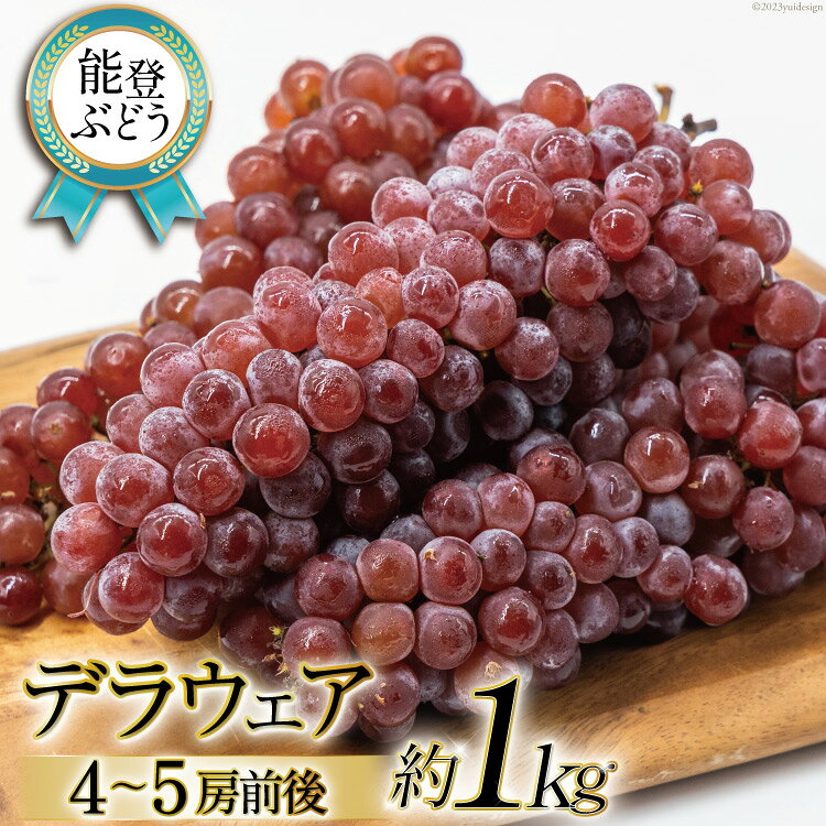 【期間限定】【能登ぶどう】デラウェア 約1kg (4〜5房前後） [スギヨファーム 石川県 志賀町 AS4113] 果物 くだもの フルーツ ぶどう 能登ぶどう 約 1キロ