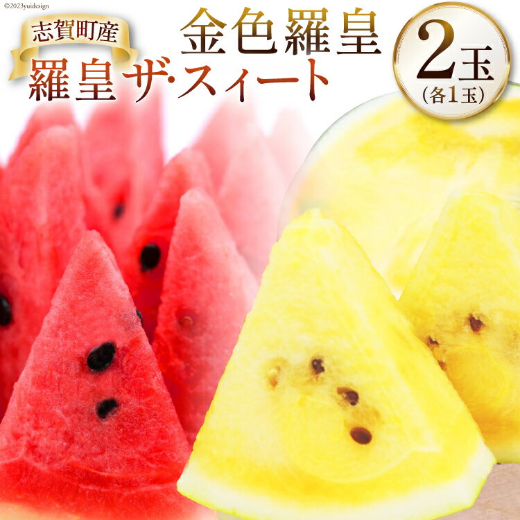 【ふるさと納税】【期間限定】羅皇ザ・スウィート （赤色） 金色羅皇 （黄色）【幻のゴールデンスイカ】2玉（各1玉） [米吉農園 石川県 志賀町 BA4124] スイカ すいか 西瓜 果物 フルーツ 野菜