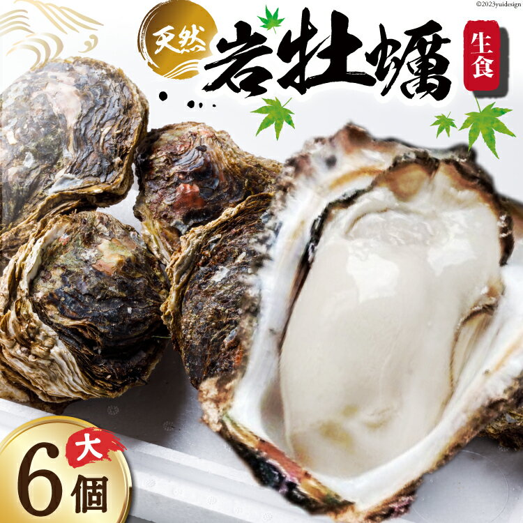 【ふるさと納税】【先行受付】ヨコタ礁天然岩牡蠣（生食用）大6個 [望海 石川県 志賀町 BX4014] 岩牡...